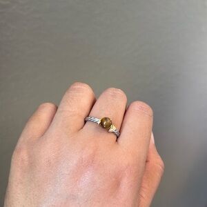 Handmade Stainless steel Ring with tiger 👁️